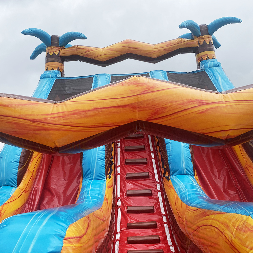 Inflatable Palm Tree Double Water Slide10
