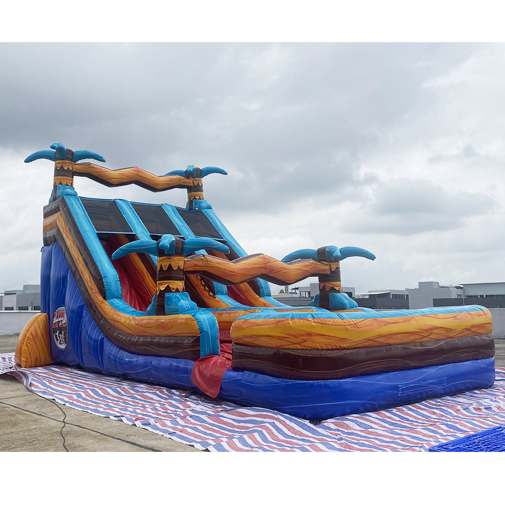 Inflatable Palm Tree Double Water Slide3